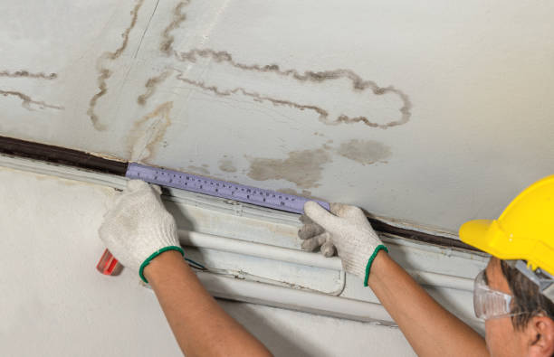 Reliable Structural Drying contractor in Kitts Hill, OH by Water Damage Irwin
